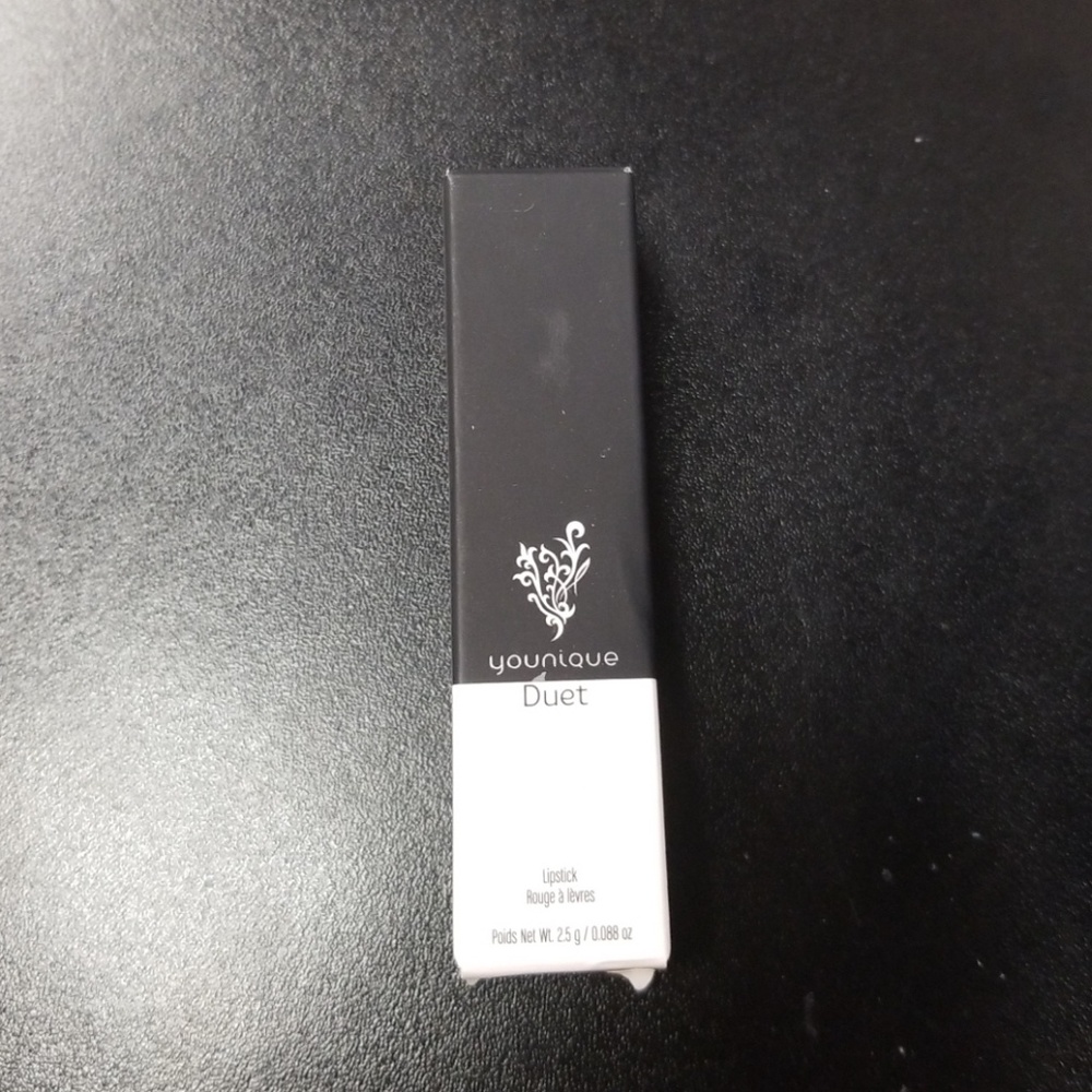 Younique Duet Lipstick-Hitting it Off